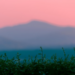 Nathan MORISSEAU - Morisseau