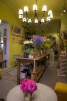 Aurélie KEA - DONA KEA